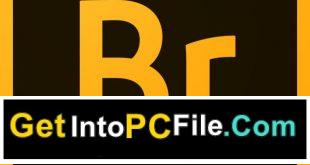 Adobe Bridge CC 2017 Free Download 768x749