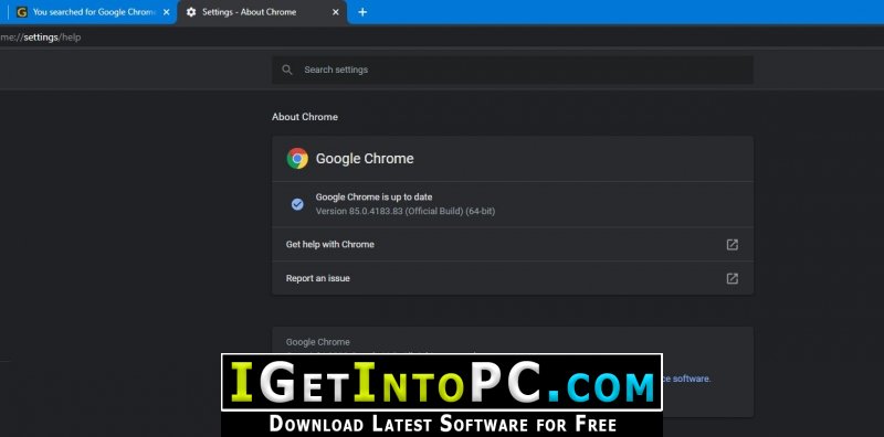 Google Chrome 85 Offline Installer Download 4