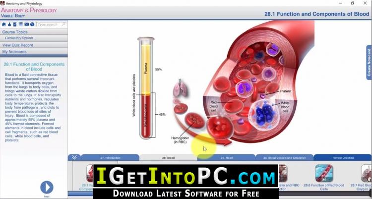 Visible Body Anatomy and Physiology 1.5.04 Free Download 3