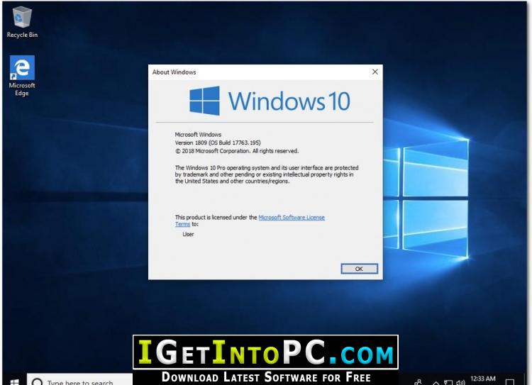 Windows 10 Pro RS5 1809 January 2019 Free Download 4